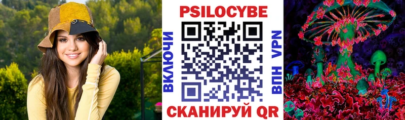 МЕГА ссылка  Новокубанск  Галлюциногенные грибы GOLDEN TEACHER 